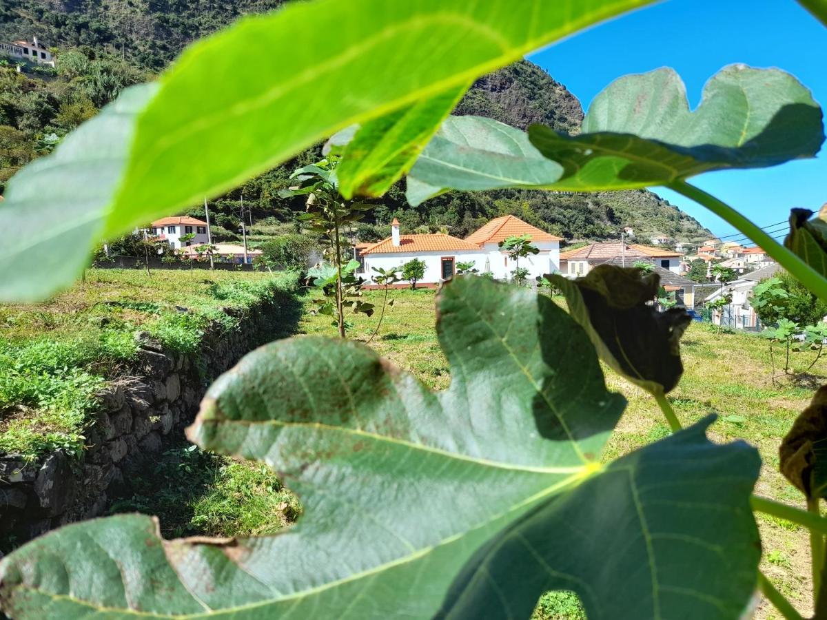São Vicente Casa Do Bagoヴィラ エクステリア 写真